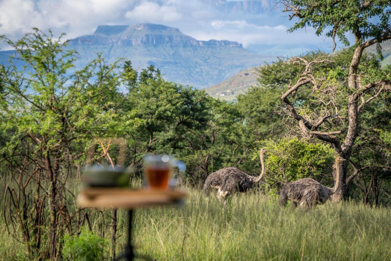 Sasi Africa Luxury Tented Bush Lodge Bergville Exterior photo